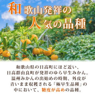  紀州和歌山有田産 ゆら早生みかん 10kg【ミカン 蜜柑 柑橘 温州みかん わせみかん】_G7098