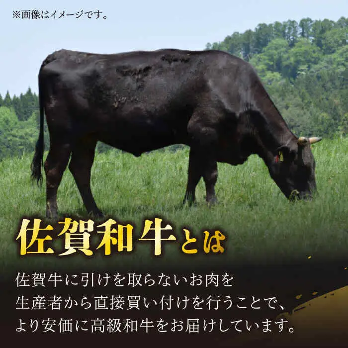 牛肉ももカタ薄切り 計600g NAC029 牛肉 