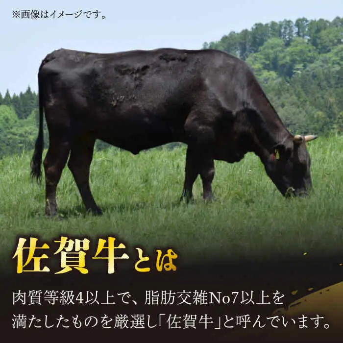 【定期便】牛肉 ロース薄切り 300g NAC144 牛肉 ロース 全6回