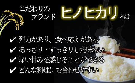 【スピード配送】令和７年産【ヒノヒカリ】10kg 白米