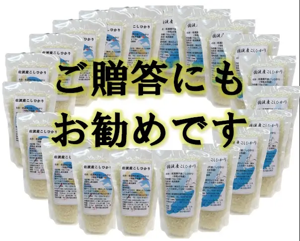 【令和7年産】佐渡高千産こしひかり 150g(1合)×20袋セット