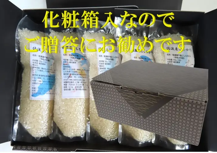【令和7年産】佐渡高千産こしひかり 300g×10袋セット（真空包装）