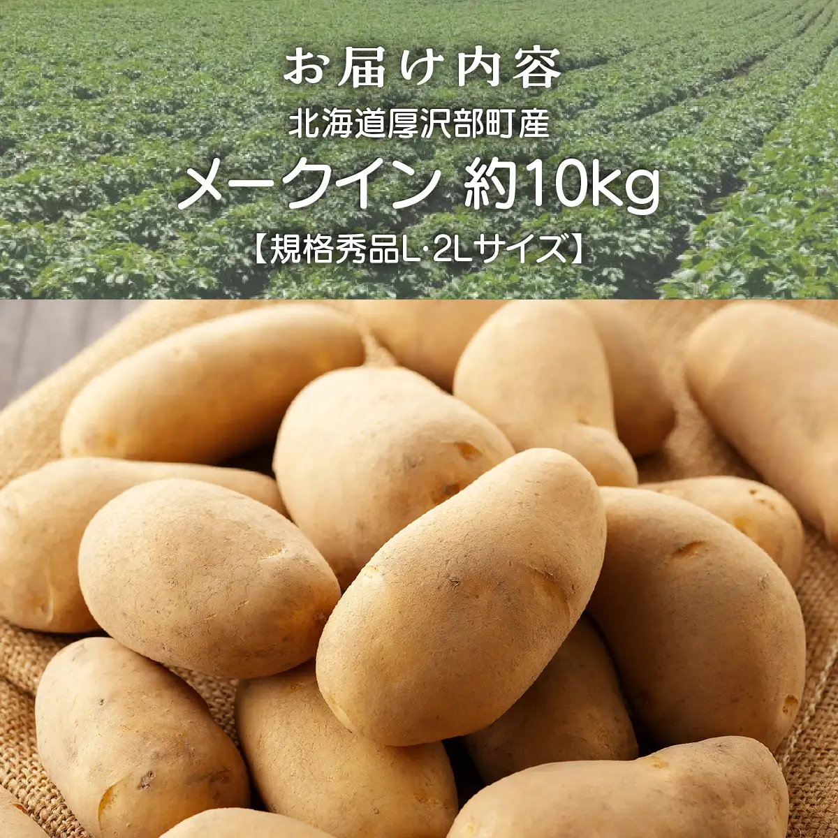【2026年9月下旬より発送】北海道厚沢部町産 メークイン 約10kg【規格秀品L・2Lサイズ】 ASO011