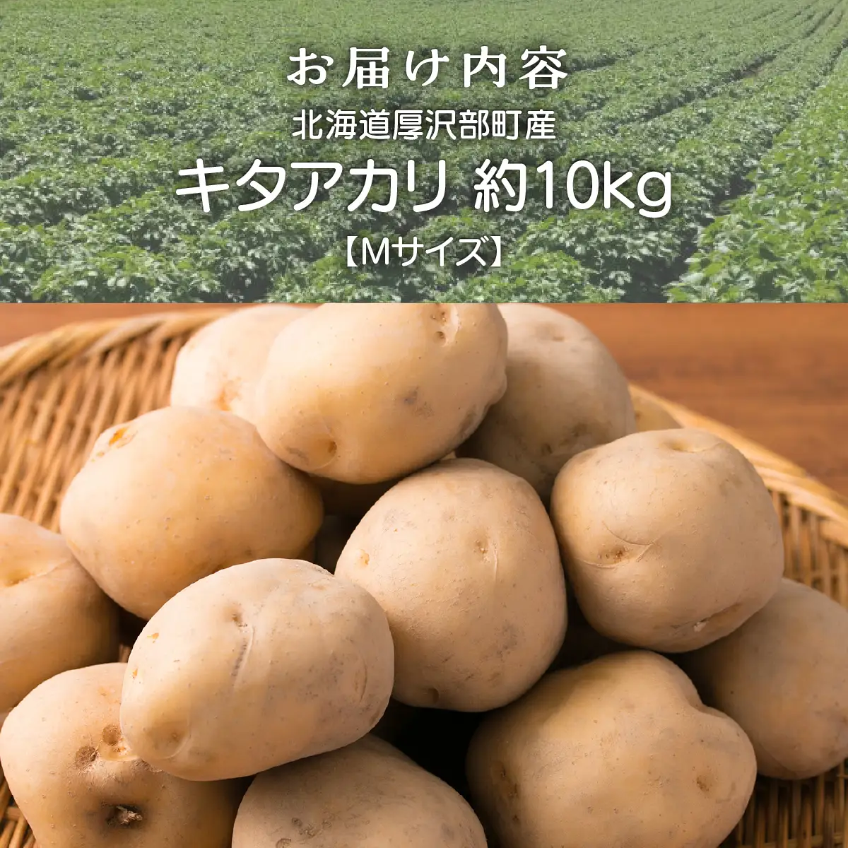 【2026年9月下旬より発送】北海道厚沢部町産 キタアカリ 約10kg【Mサイズ】 ASO013