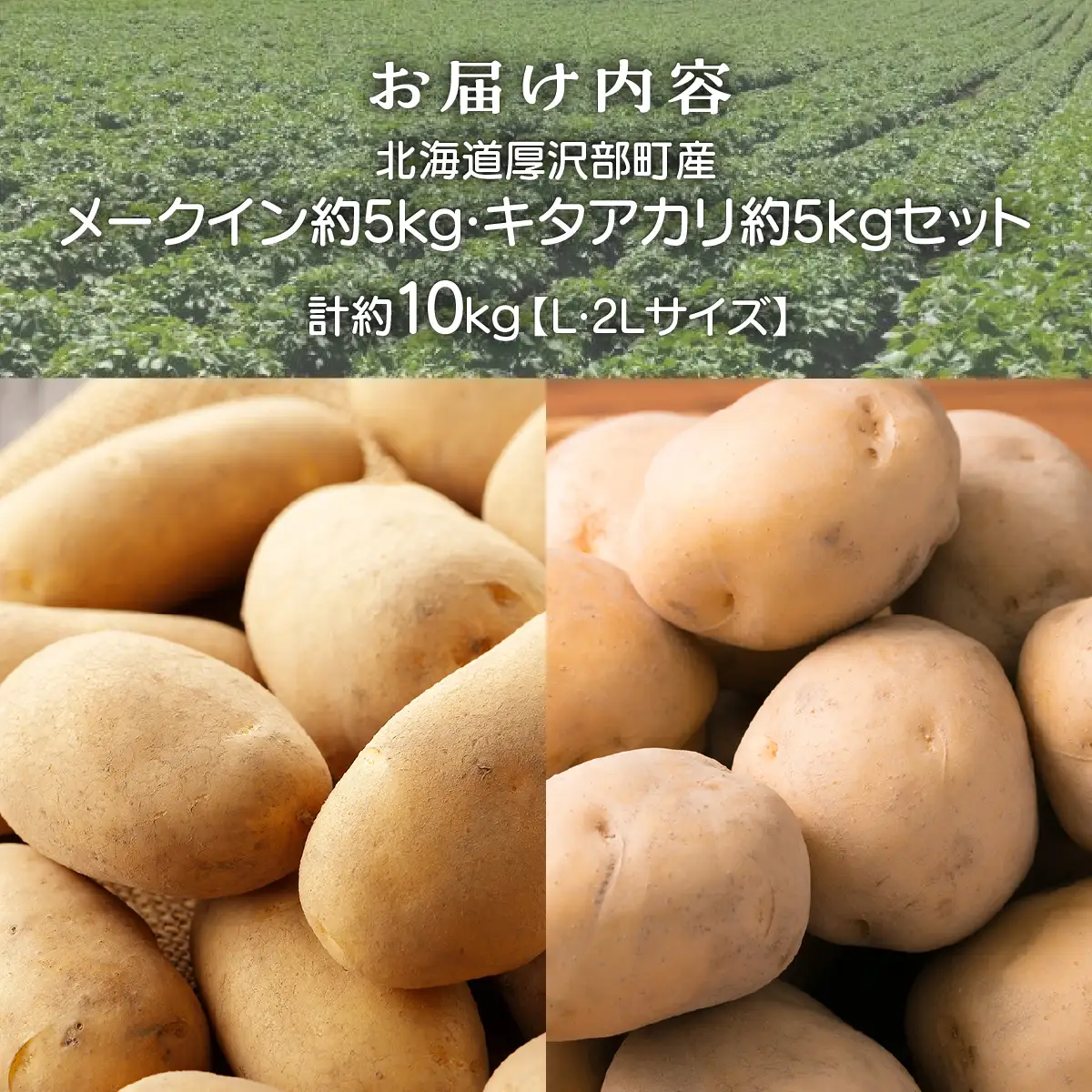 【2026年9月下旬より発送】北海道厚沢部町産 メークイン約5kg・キタアカリ約5kgセット 計約10kg【L・2Lサイズ】 ASO014