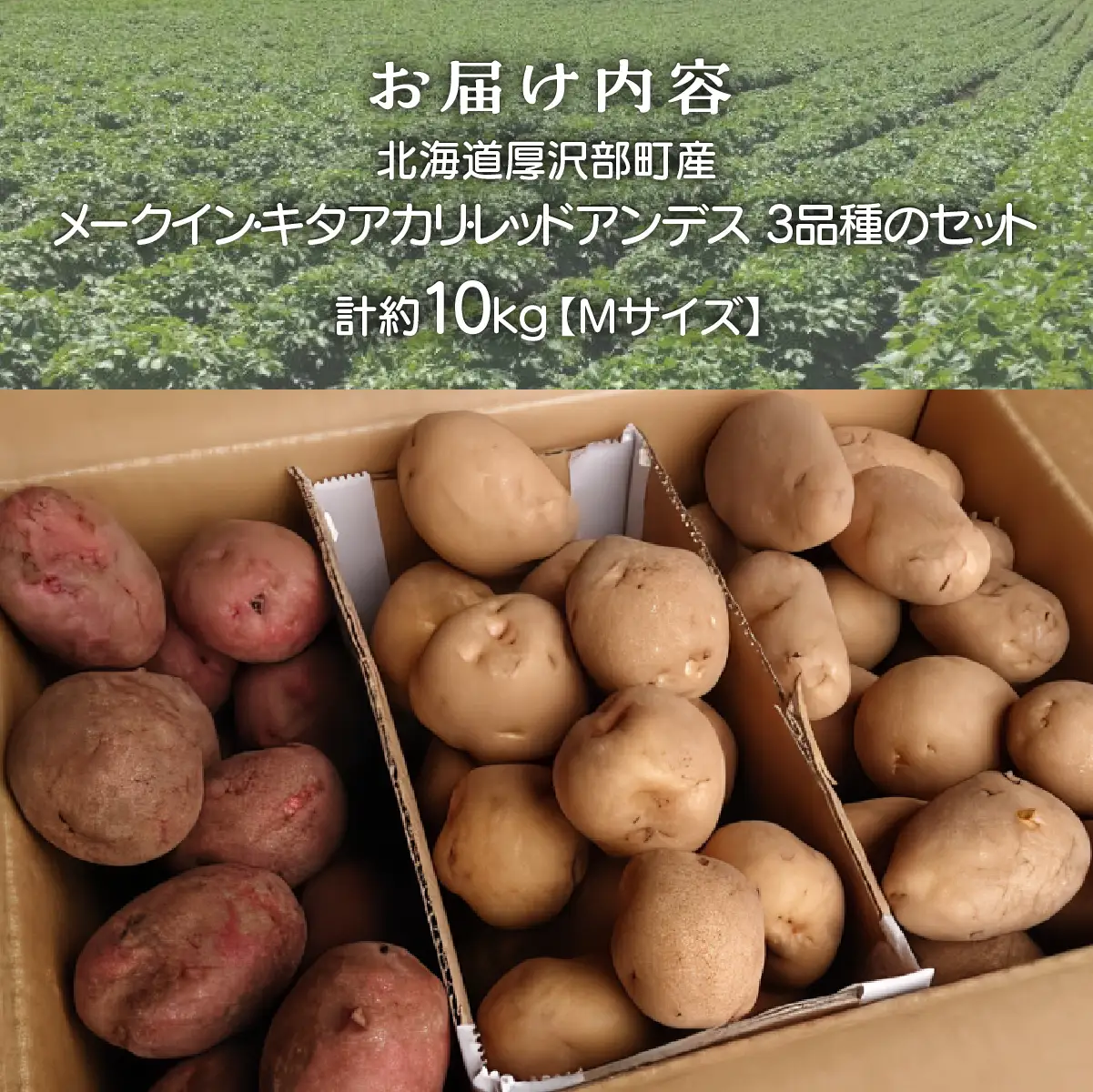 【2026年9月下旬より発送】北海道厚沢部町産 メークイン・キタアカリ・レッドアンデス 3品種のセット 計約10kg【Mサイズ】 ASO016