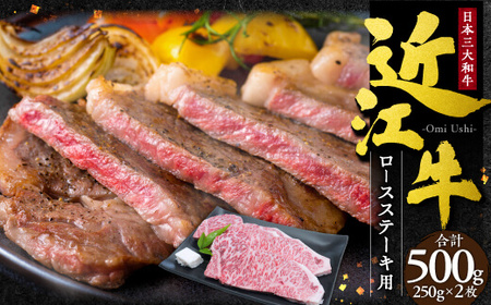 【ふるなびWEEK対象】近江牛 ロース ステーキ 2枚500g （250gｘ2枚） 本多商店 滋賀県 東近江市 C-G09 近江牛 ロース ステーキ 牛肉 和牛 肉 霜降り 柔らかい 美味しい ギフト プレゼント 贈答品 お取り寄せ 高級