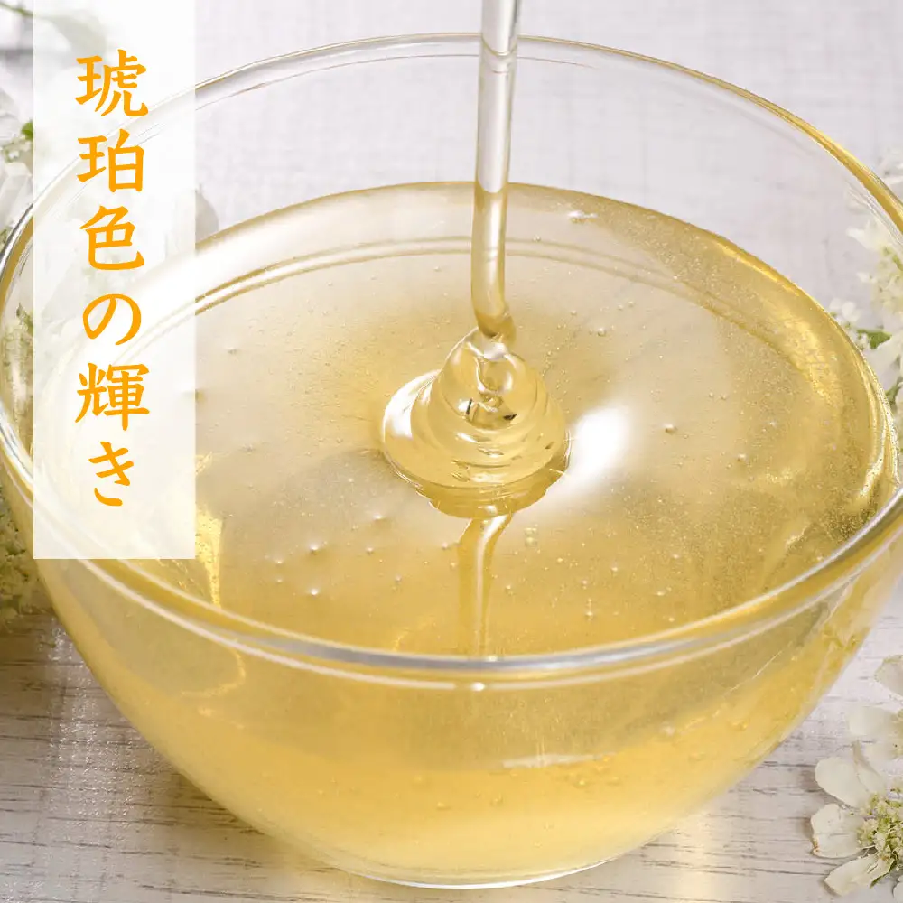 2025年産【春&初夏の蜜セット】国産天然蜂蜜 春の蜜280g&初夏の蜜280g(H049129)