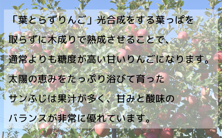 サンふじ 葉とらず 紅虎 ヒバリノ園 青森県産 サンふじ【約5kg 14〜18玉】