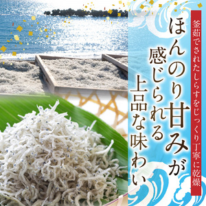 （数量限定）ぷっくり ちりめん 400g_H6018n