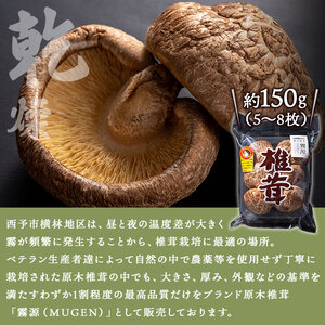 ブランド原木椎茸「霧源（MUgEN）」乾燥約150g（5～8枚）ご家庭用 NYJ0003