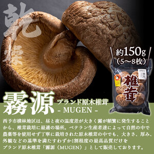 ブランド原木椎茸「霧源（MUgEN）」乾燥椎茸＆椎茸パウダー UMAMI＋（うまみぷらす）セット NYJ0005