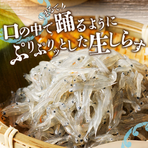 【定期便 3 】生しらす100g 6個×3回 (a30-234)