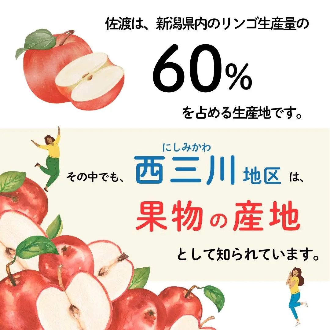 りんご シナノスイート 5kg 10月上旬以降発送| 新潟県 佐渡市 松丘農園 りんご