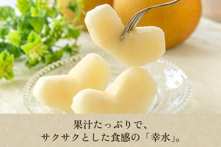 【2026年先行予約】新潟県産 和梨 幸水 3Kg（7〜11玉）《8月中旬以降発送》こうすい 梨工房みつば会