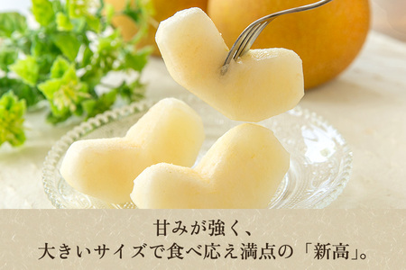 【2026年先行予約】新潟県産 和梨 新高 3kg（4～5玉） 《10月上旬以降発送》にいたか 梨工房みつば会