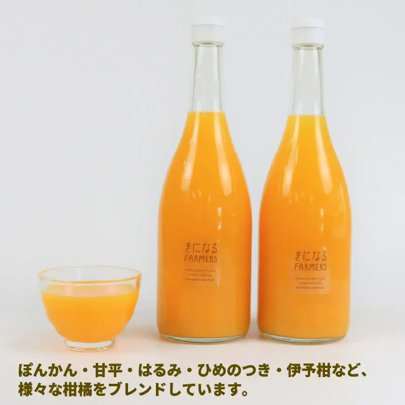 みかんジュース 果汁100% ストレート 果実 ミックスジュース 720ml × 4本 誉農園 飲料 柑橘 みかん 蜜柑 ぽんかん 甘平 伊予柑 ストレートジュース 100%ジュース ジュース 果物 くだもの mikan 愛媛みかん フルーツ 国産 愛媛 宇和島 H012-138002