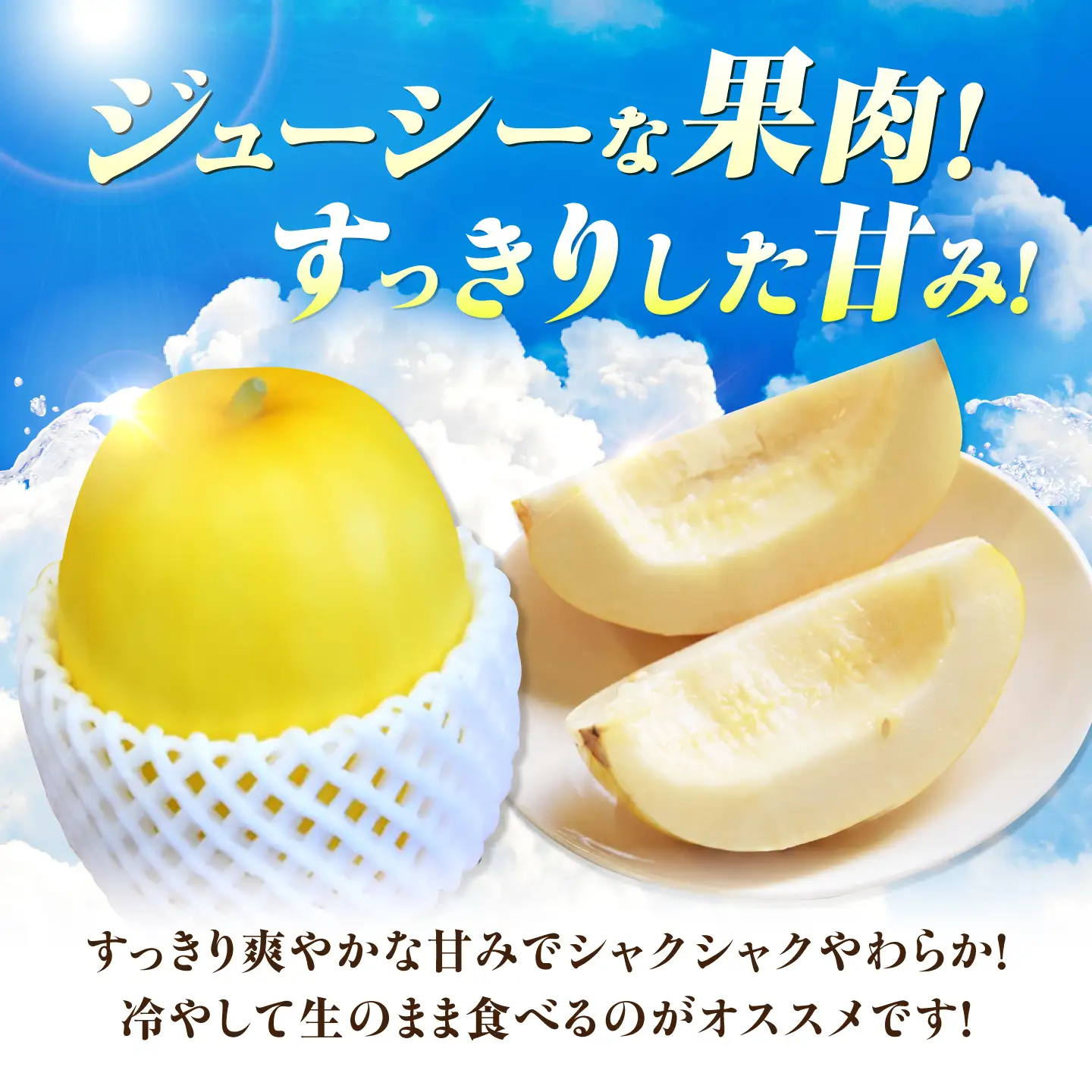 【2027年7月下旬より順次発送】旬の野菜 懐かしまっか便（栽培期間中、農薬・化学肥料・動物性堆肥不使用）/ まくわうり セット 詰め合わせ 新鮮 野菜 旬 / 滋賀県 栗東市 / ワダケン リアルソイルハウス [BIBM006]