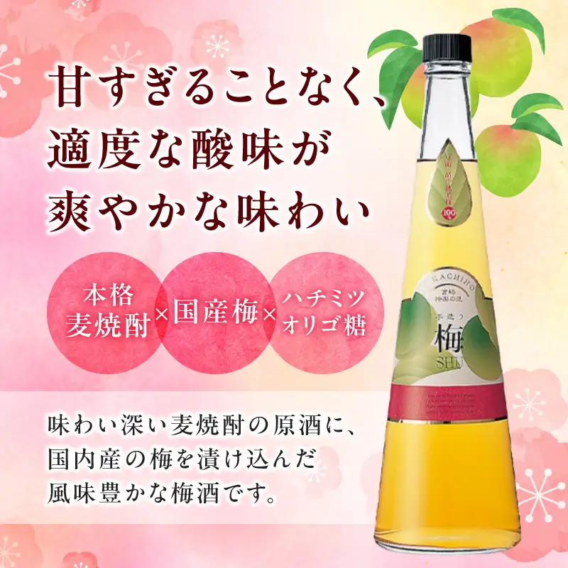 手造り梅酒 14% 720ml×2本セット 梅酒 酒 アルコール 梅酒セット セット 詰め合わせ ロック ストレート 贈答 贈答用 ギフト プレゼント お祝い 祝い 内祝い 記念日 誕生日 お取り寄せ グルメ 家飲み 宅飲み 飲み会 国産 宮崎県 高千穂町 _Tk007-028
