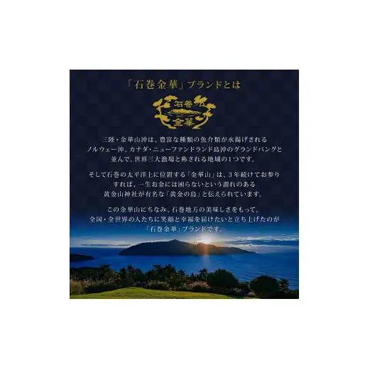 明太子 パスタソース２個 無添加 ホワイトソース 石巻金華