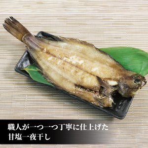 柳かれい 一夜干し 10枚 海鮮 魚貝類 魚介類 岩手県 大船渡市