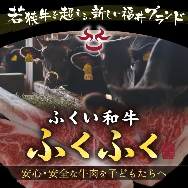 若狭牛ハンバーグ100g × 5個 ナカノ特製100％和牛の極旨品！！ 本格派ハンバーグ！ 【ハンバーグ 若狭牛 国産和牛 黒毛和牛 黒毛和種 ブランド牛 和牛 肉 牛 牛肉 坂井市 福井県産 国産 冷凍 人気】 [A-2001]