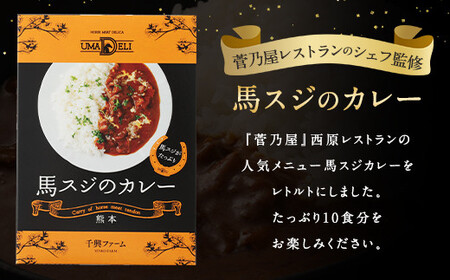 ＜ R8年熊本地震復興支援 ＞馬スジのカレー 10食セット 10人前 合計2.1kg 馬スジ 馬肉 カレー レトルト