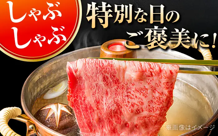 佐賀牛 ローススライス 600g すきやき しゃぶしゃぶ[FDB019]
