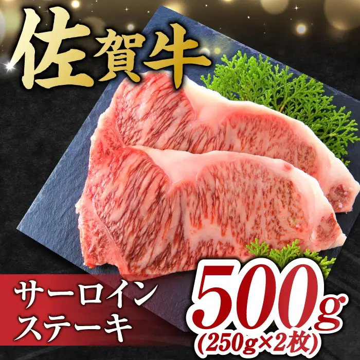 佐賀牛 ヒレ＆サーロインステーキ 食べ比べセット 計800g すてーき 黒毛和牛[FDB023]