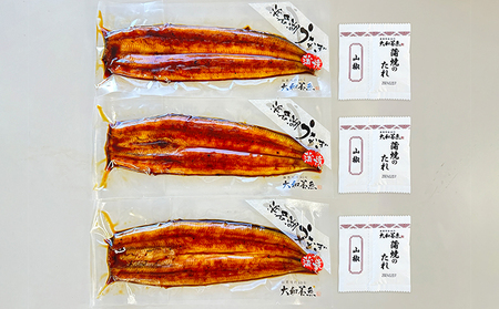 浜名湖うなぎ蒲焼 120g×3尾（計360g） 真空パック 冷蔵 【浜名湖うなぎ・国産うなぎ】 うなぎの蒲焼き 土用の丑の日 和食 魚料理 お酒のあて つまみ 手焼き 