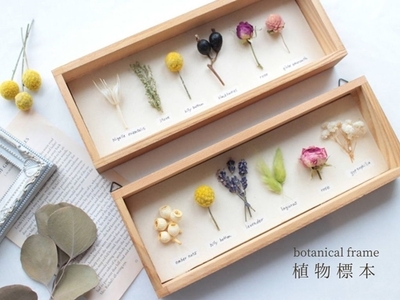 植物標本 ボタニカルフレーム フローリスト お任せ♪ ／ HANARA ナチュラル 自然 花 ギフト 母の日 女性 奈良県 宇陀市 誕生日 お祝い 敬老の日 感謝 結婚祝い 還暦 プロポーズ お供え 花ケース入り ふるさと納税 誕生日 お祝い 敬老の日 感謝 結婚祝い 還暦 プロポーズ お供え 花ケース入り 誕生日 お祝い 敬老の日 感謝 結婚祝い 還暦 プロポーズ お供え 花ケース入り 誕生日 お祝い 敬老の日 感謝 結婚祝い 還暦 プロポーズ お供え 花ケース入り