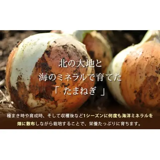 真珠の玉葱 Lサイズ5kg ≪海のミネラルで育てた玉葱≫【50103】