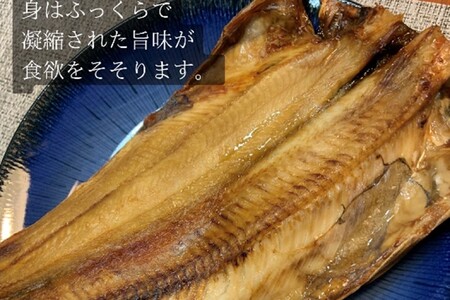 根ほっけ一夜干しセット ほっけ ホッケ 北海道産 脂のり抜群 干物 魚 魚介 函館 はこだて_HD098-005