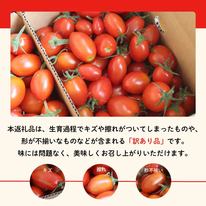 【ミニトマト】 先行予約 約3kg サンチェリーピュアプラス ミニトマト