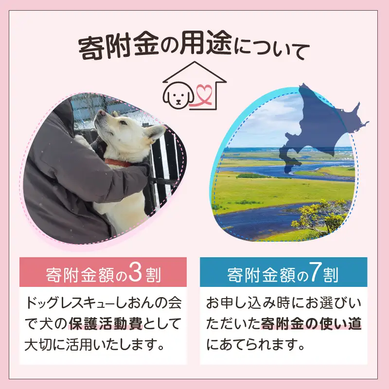 【野犬の保護活動】 1000円分 動物 犬 返礼品なし_H0039-001