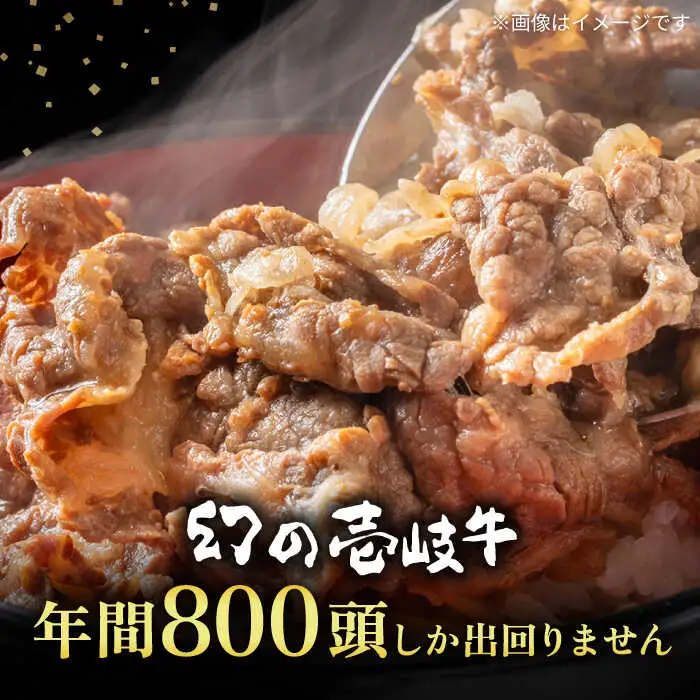壱岐牛 切り落し （250g×4パック） [JEP004] 切り落し