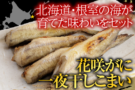 【北海道根室産】花咲カニ・一夜干しこまいセット A-76007