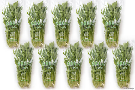 【BH016】水菜 150g×10束