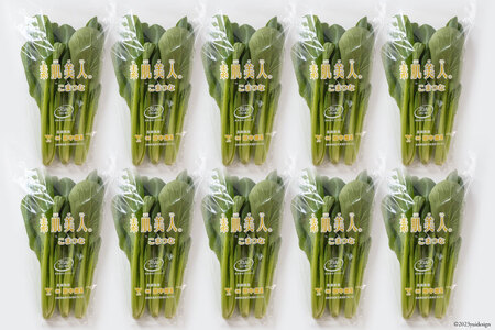 【BH013】小松菜 150g×10束