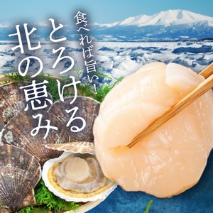 道水 北海道産プロトン帆立1kg ほたて 貝柱 お刺身 生食 _HD108-010