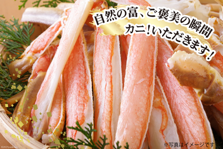 【能登半島 漁協直送！】活 加能ガニ 1尾(大サイズ)計 700g 前後