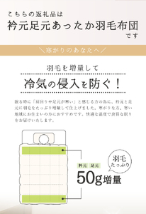 SY0023　【寒がりのあなたへ】衿元足元あったか羽毛布団（セミダブル）
