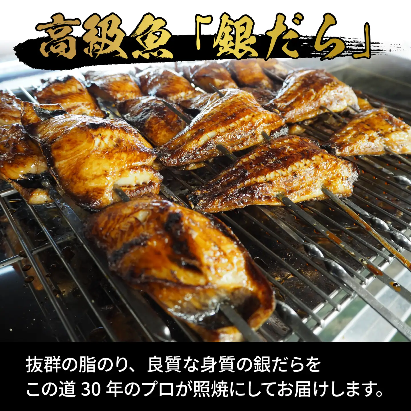 銀鱈 照焼 5切 おかず 銀だら　B-044002