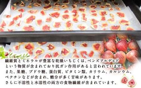 吉瀬森果園 イチジク (とよみつひめ) セミドライフルーツ (45ｇ×3袋)  計135ｇイチジク いちじく 旬 フルーツ 果物 果実 常温 送料無料 福岡県 うきは市