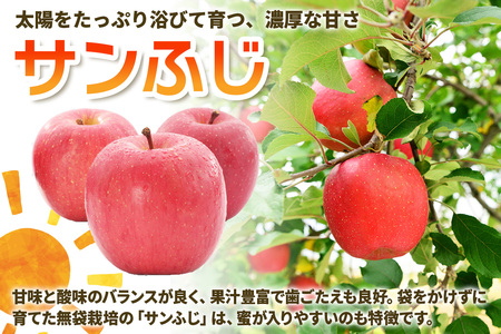 [訳あり] りんご サンふじ 3kg (9玉から12玉入り 3kg 1箱)  見た目にわけあり 味はそのまま [0838]