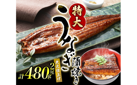 ▼1尾で約240gのビッグサイズ うなぎ蒲焼 2尾 計約480g （タレ・山椒付き） 【nks205-240x2-tu-C】