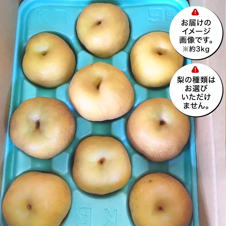 農園直送！おまかせ 梨 3kg 【7月下旬発送開始】 