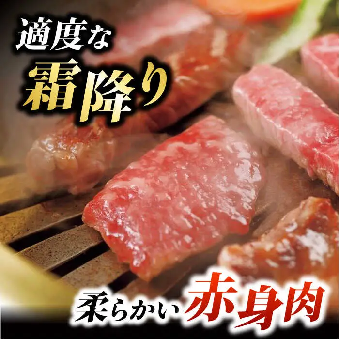 くまもとあか牛 サーロイン ステーキ 約400g[ZBV002]