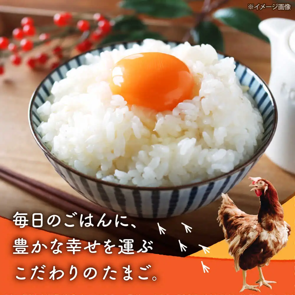 白たまごM玉卵90個(85個＋5個割れ保証)卵タマゴZCA001