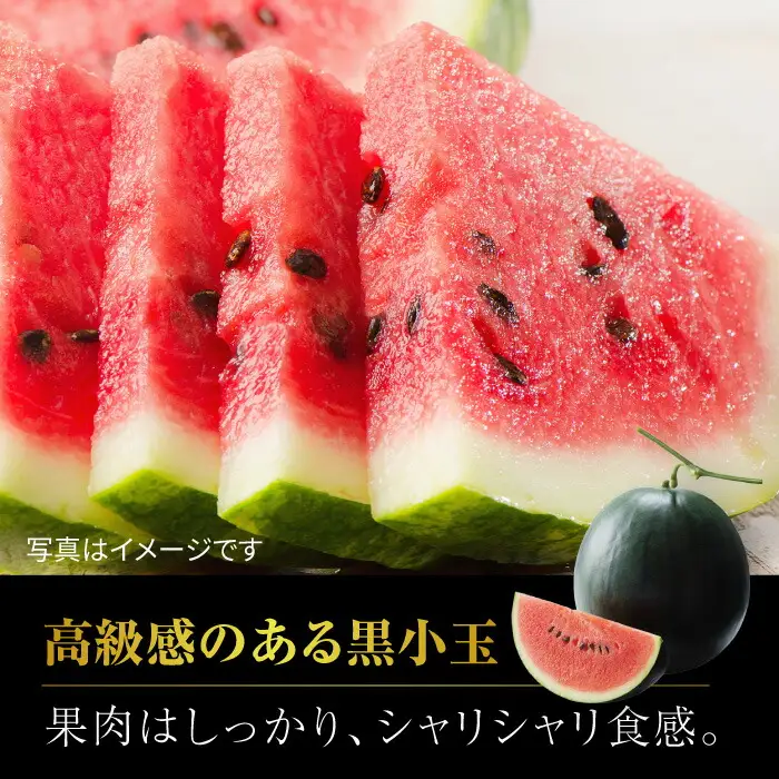 【先行予約】黒小玉 スイカ と アールスメロン セット 【株式会社 前田ファーム】西瓜 すいか 熊本 九州産 国産 熊本県産 贅沢 [ZCM003]